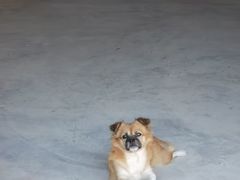 -敦煌古城