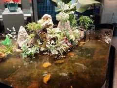 -映像威海·威海宴(威高广场店)