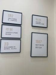 -菩叶脱发白发中心