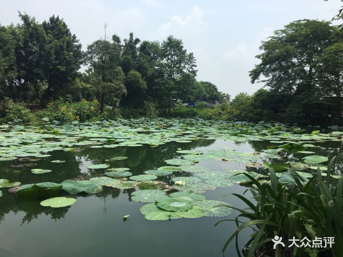 清远鸿福山庄图片