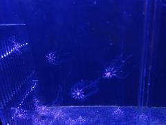 -青岛海底世界-水族馆