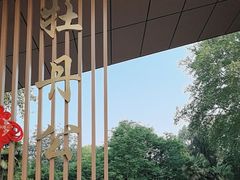 -洛阳市牡丹公园