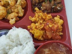 -宝鸡东道花鸟鱼虫市场(吉利花园商场店)