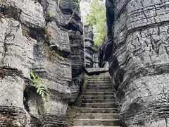 -梭布垭石林景区