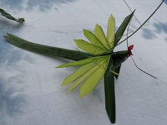 -海窝子古镇