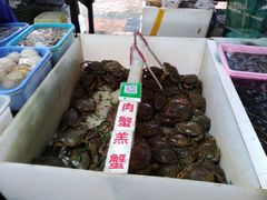 -大湾区中央湿地公园