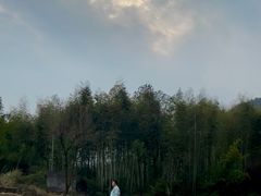 -泽雅景区