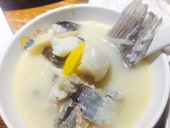 -咕嘟草帽鱼·牛奶一样的鲜鱼汤(包河万达广场创始店)