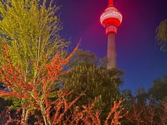 -中央广播电视塔