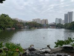 -荔湾湖公园