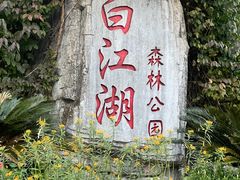 -广州白江湖森林公园