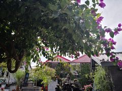 -海韵人家.海景花园经典云南菜(双廊店)