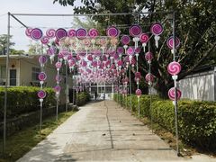 -光明农场大观园