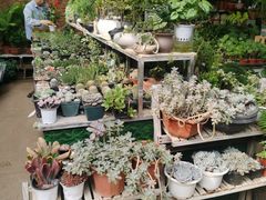 -桂林市花鸟市场