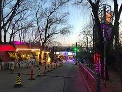 -枫花园汽车电影院(朝阳公园店)