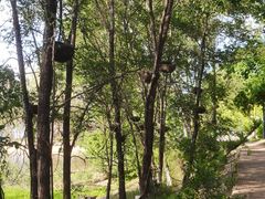 -长白岛森林公园