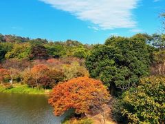 -田野绿世界