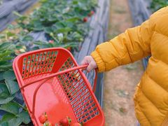 -广州市帽峰山景区