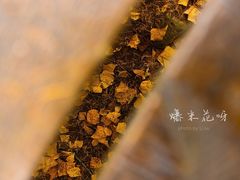 -苏木山森林公园