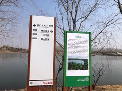 -东郊湿地公园