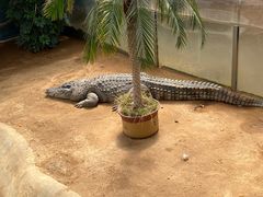 -西霞口神雕山野生动物世界