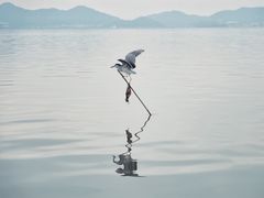 -东钱湖旅游度假区