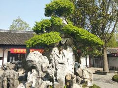 -水绘园