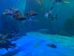 -多彩贵州城极地海洋世界