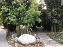 -堤角公园