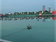 -秋水广场音乐喷泉