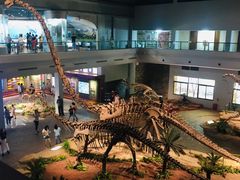 -自贡恐龙博物馆