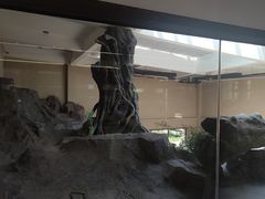 -宁波野生动物园
