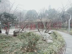 -西安市长乐公园