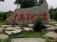 -大港湿地公园