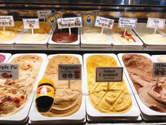 -Dooley's Premium Ice Cream