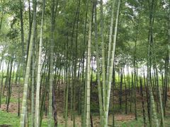 -陶祖圣境风景区