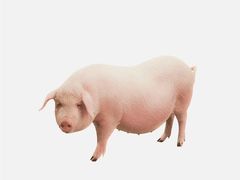 -五稻厨房粤西菜(新闻店)