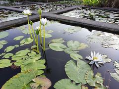 -华南国家植物园-售票处
