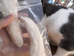 -松果猫咖(桐乡吾悦金街店)