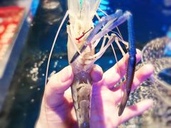 -钳真多钓虾馆·小龙虾海鲜烧烤(九六广场店)