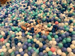-大江户·温泉洗浴(浑南店)