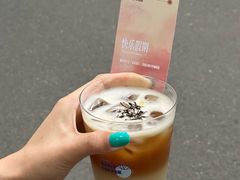 -Oasis coffee燕谷咖啡(公信店)