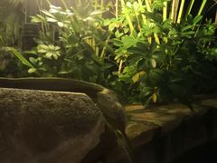 -韶关经律论国际酒店温泉