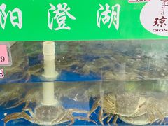 -阳澄湖大闸蟹·琼灵阁牌品牌连锁(吴中总店)