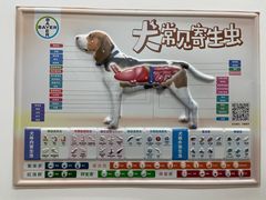 -瑞派·爱瑞可动物医院·口腔专科(广华新城分院)
