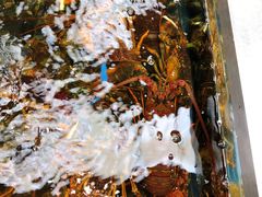 -盒马鲜生(大成店)