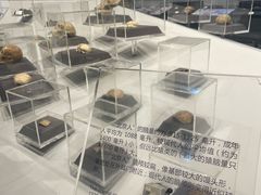 -北京周口店北京人遗址博物馆