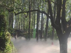 -林间山庄
