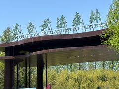 -黄海国家森林公园