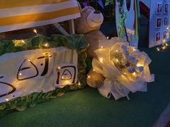 -北京市海淀区锦绣明天莲宝幼儿园